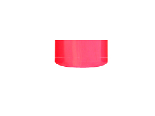 Flour Pink Lexan Paint 2oz